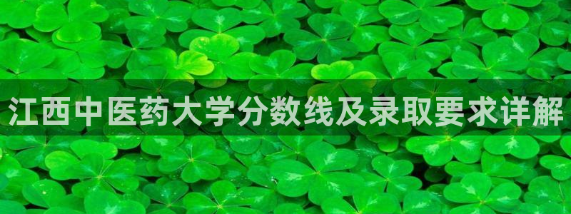 j9九游会官方网站国际怎么样
