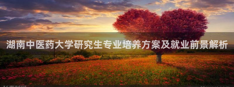 九游会国际厅