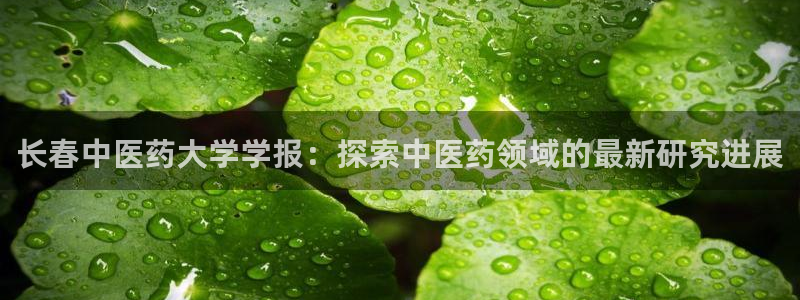 九游会平台登录不上