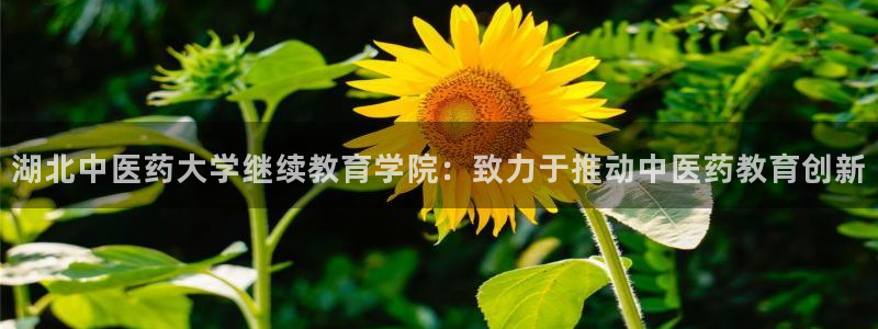 九游会官网首页入口