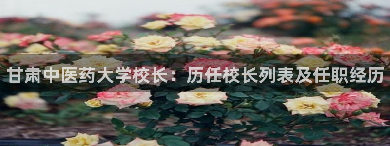 ag九游会