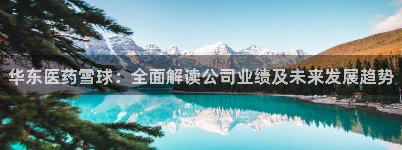 九游会关服吗
