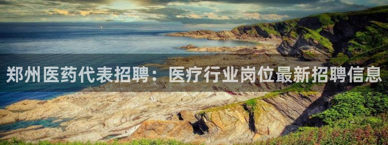 九游会登录网站吗