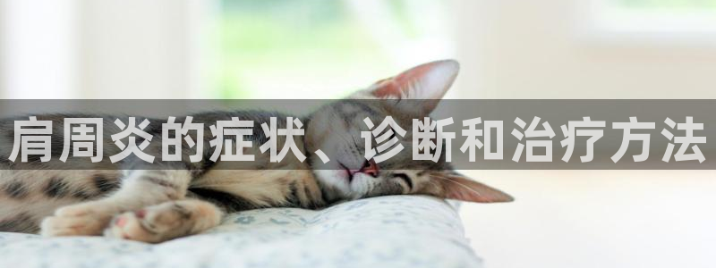 九游会官网下载