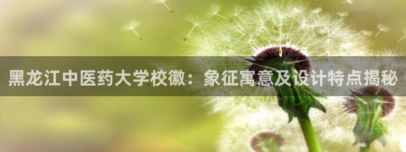 ag老玩家