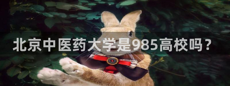 九游会的网址是多少