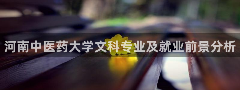 九游j9国际站官方网站