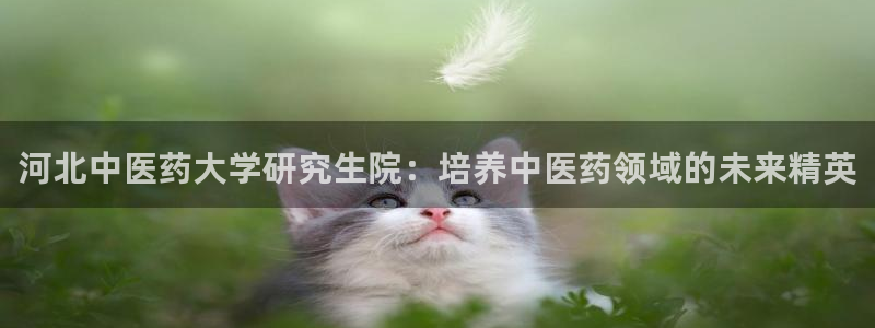九游会ag老哥俱乐部