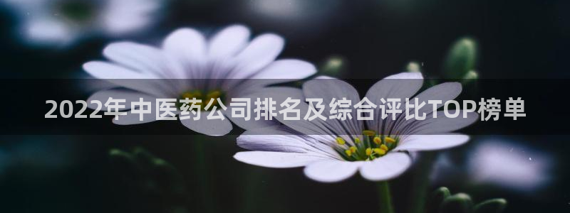 9游会j9