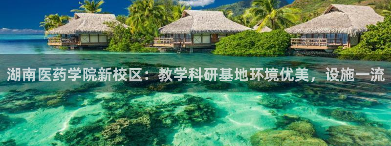 九游会怎么了