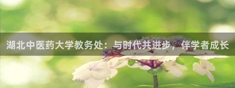 九游会app下载版官网正版