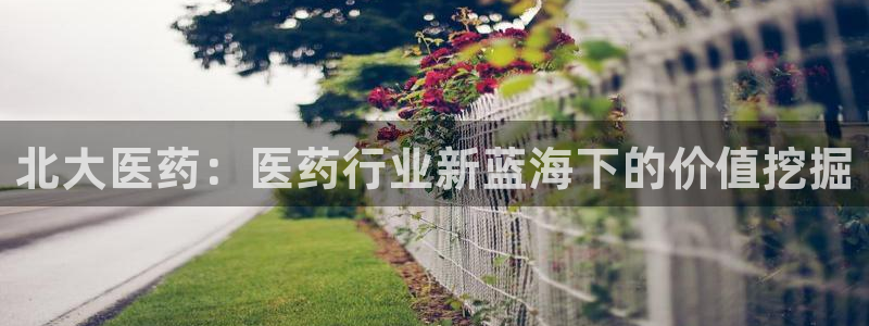 9游会旗舰