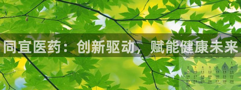 九游会进不去了