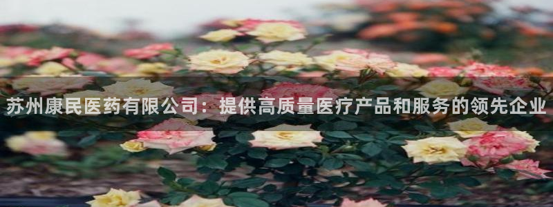 九游会是干嘛的
