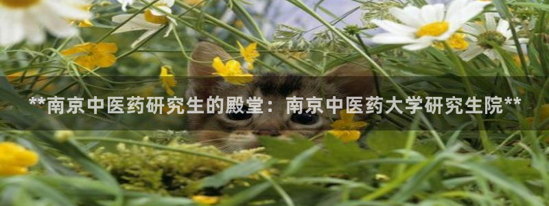 九游会视讯