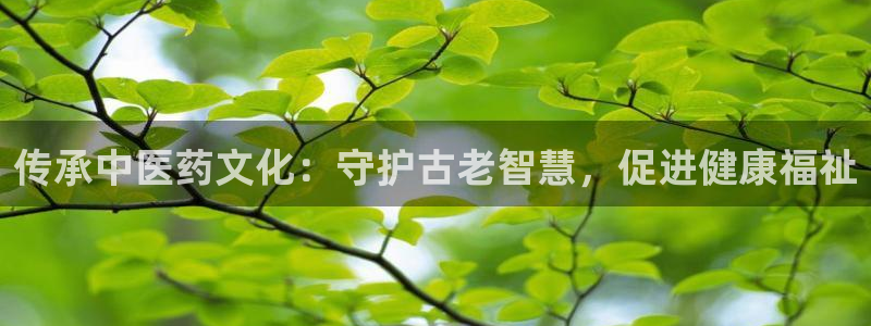 九游J9官方网站