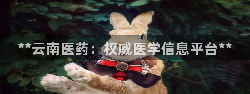 九游会app官方
