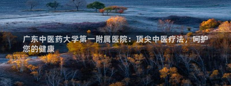九游j9会