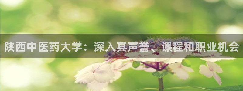 九游会亚洲第一