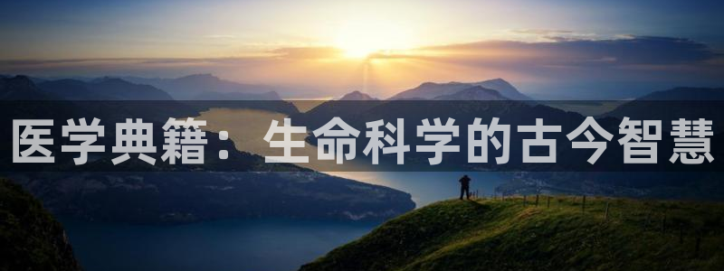 九游会vip