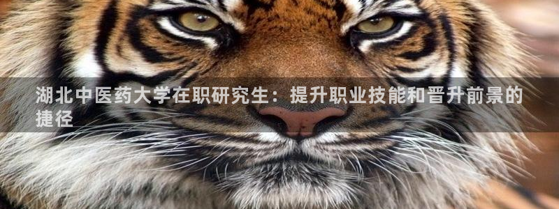 九游会官网下载不了吗