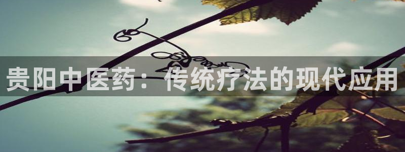 九游j9官网入口