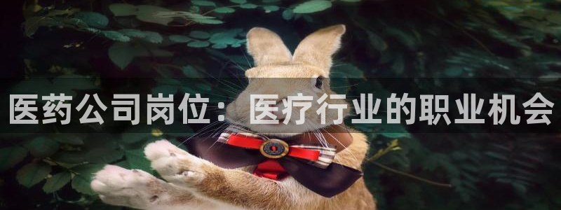 ag改名九游会