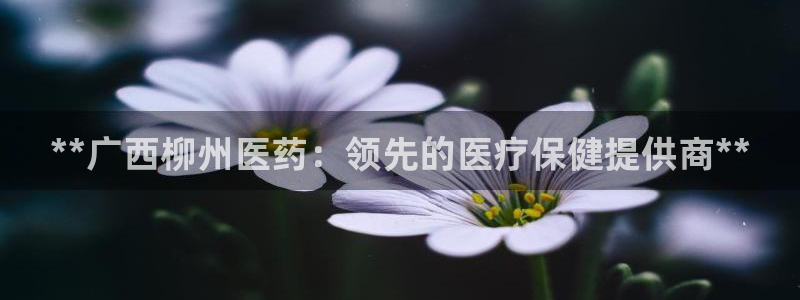 j9官网豪华游