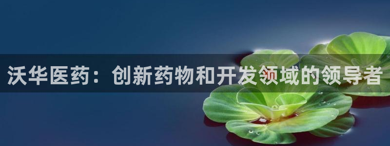 九游会AG下载手机端