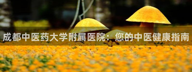 九游会官网可靠的