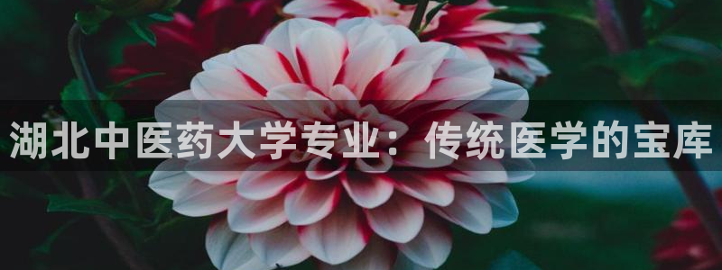 九游会提款安全吗