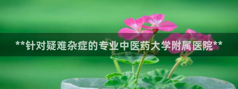 J9九游会旧版