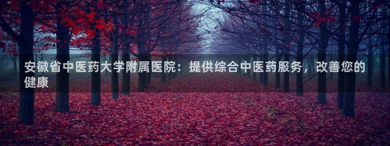 ag久游会