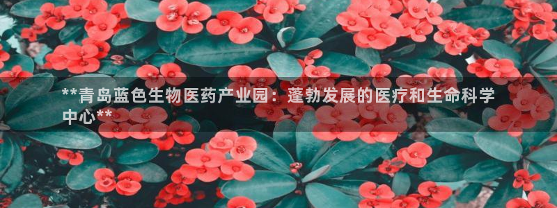 九游会官方网