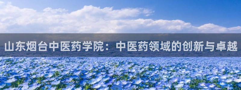 ag九游会
