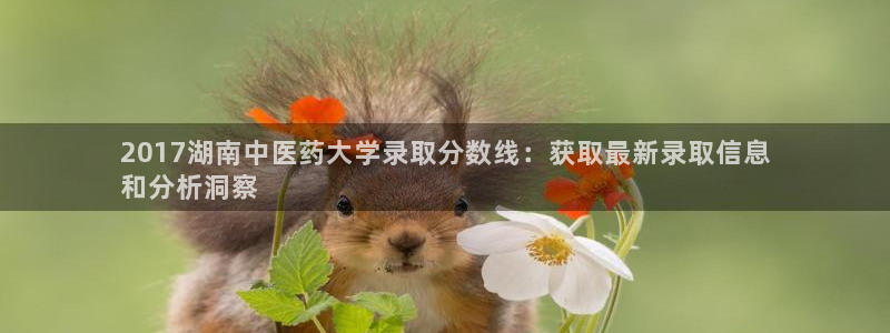 九游会J9官网入口