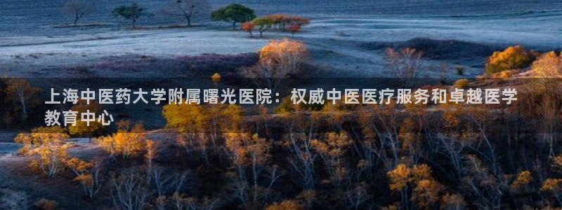 九游j9国际站