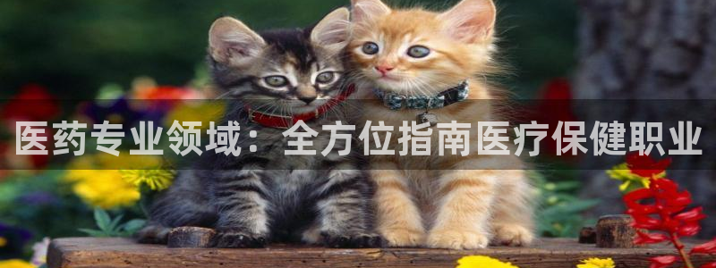J9九游会国际站