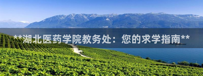 九游会登陆中心