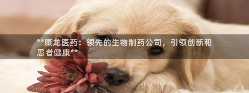 九游会ag官方网站在哪