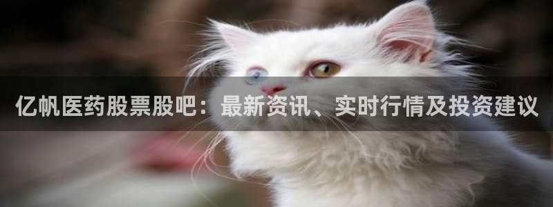 J9九游会试玩入口