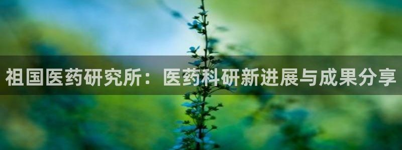 九游会视讯