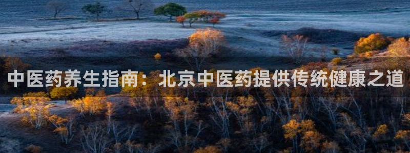 九游j9登陆