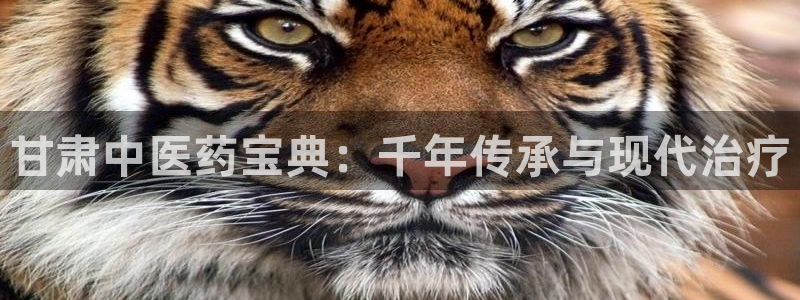 j9九游会平台信誉怎么样