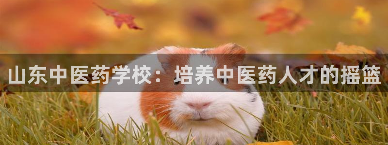 j9九游会中国