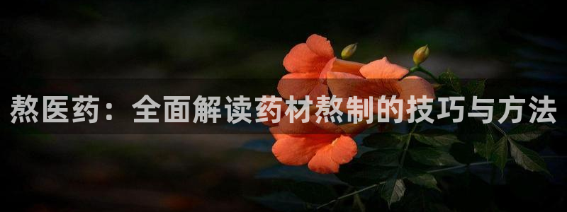 ag8亚洲九游会