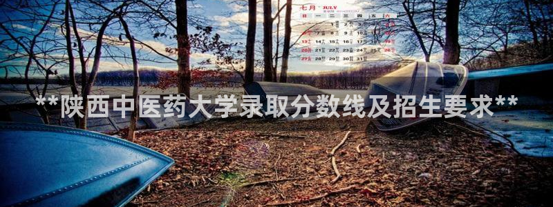 九游会ag官方网站在哪
