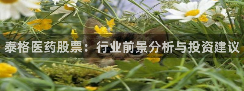 九游会AG登录入口