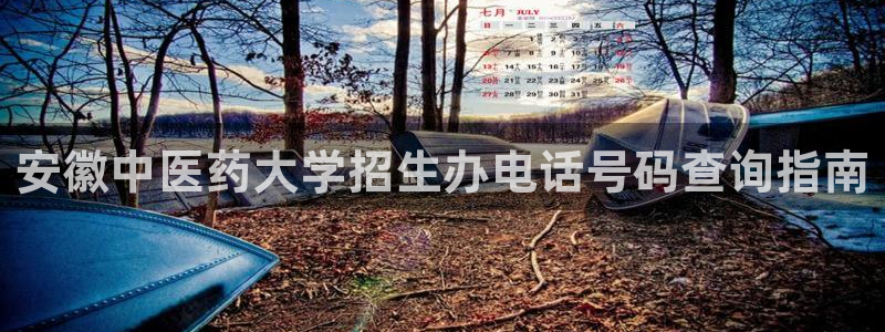 j9九游会老哥俱乐部 - 九游会