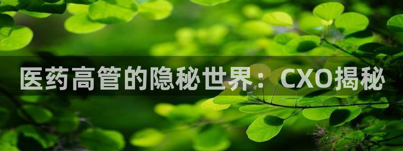 九游会官网登录首页